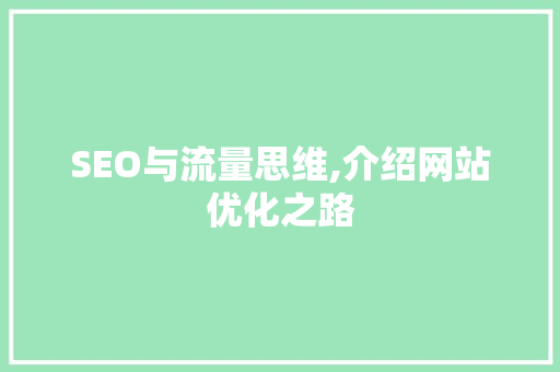SEO与流量思维,介绍网站优化之路