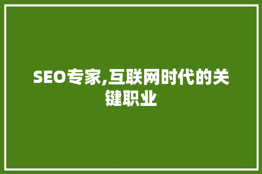 SEO专家,互联网时代的关键职业