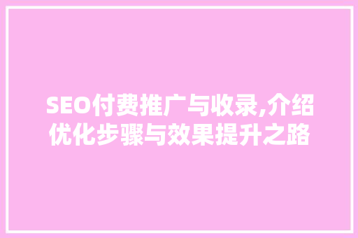 SEO付费推广与收录,介绍优化步骤与效果提升之路