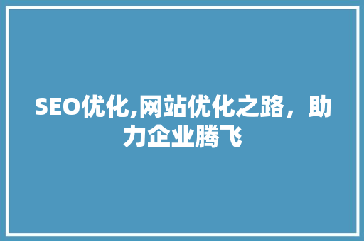 SEO优化,网站优化之路，助力企业腾飞