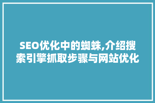 SEO优化中的蜘蛛,介绍搜索引擎抓取步骤与网站优化方法