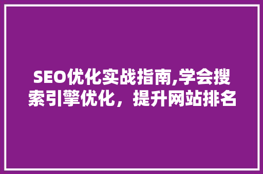 SEO优化实战指南,学会搜索引擎优化，提升网站排名