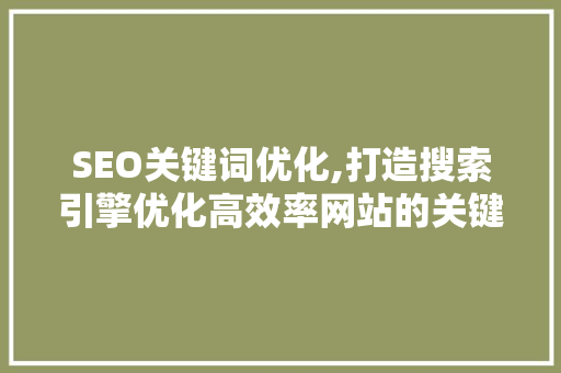 SEO关键词优化,打造搜索引擎优化高效率网站的关键