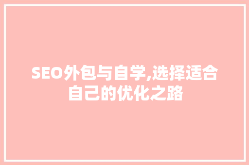 SEO外包与自学,选择适合自己的优化之路