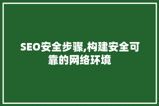 SEO安全步骤,构建安全可靠的网络环境