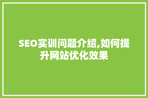 SEO实训问题介绍,如何提升网站优化效果