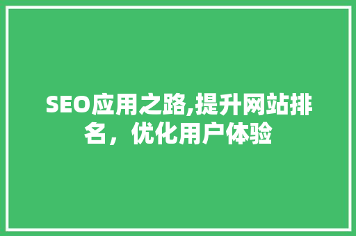 SEO应用之路,提升网站排名，优化用户体验