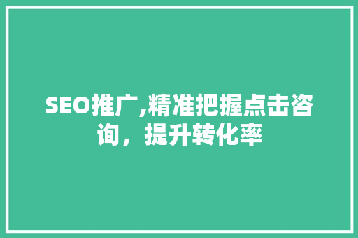 SEO推广,精准把握点击咨询，提升转化率