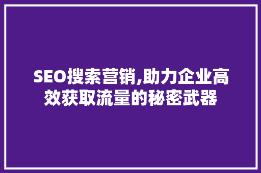 SEO搜索营销,助力企业高效获取流量的秘密武器