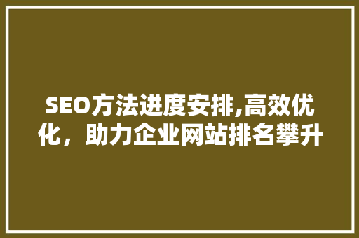 SEO方法进度安排,高效优化，助力企业网站排名攀升