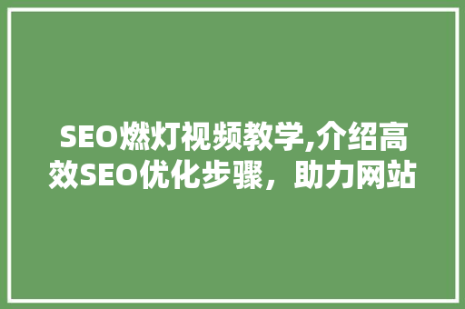 SEO燃灯视频教学,介绍高效SEO优化步骤，助力网站流量增长