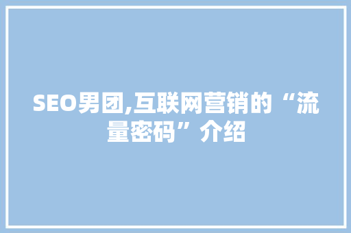 SEO男团,互联网营销的“流量密码”介绍
