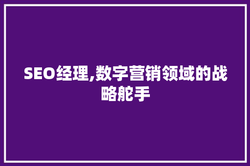 SEO经理,数字营销领域的战略舵手