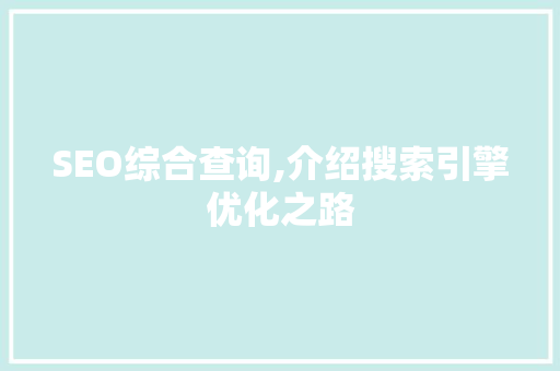 SEO综合查询,介绍搜索引擎优化之路