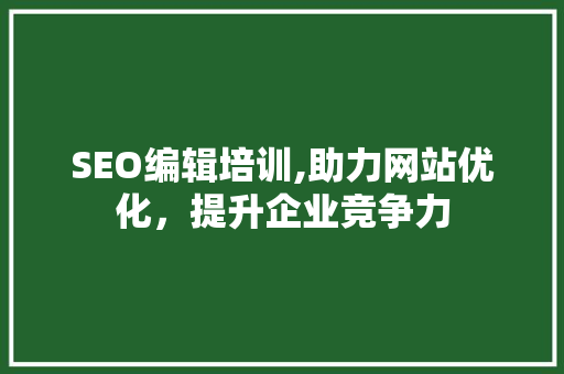 SEO编辑培训,助力网站优化，提升企业竞争力