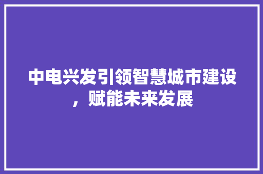 中电兴发引领智慧城市建设，赋能未来发展