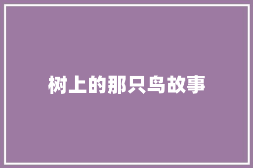 详细介绍论坛SEO检测,优化步骤与实战方法
