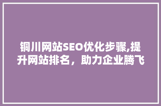 铜川网站SEO优化步骤,提升网站排名，助力企业腾飞