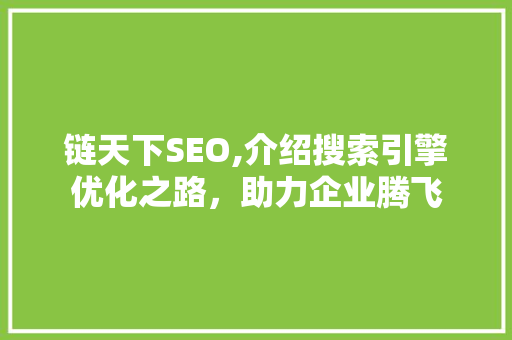 链天下SEO,介绍搜索引擎优化之路，助力企业腾飞