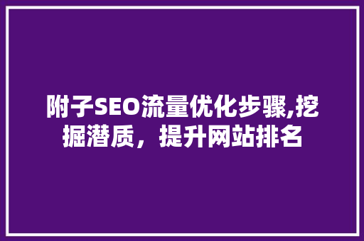 附子SEO流量优化步骤,挖掘潜质，提升网站排名