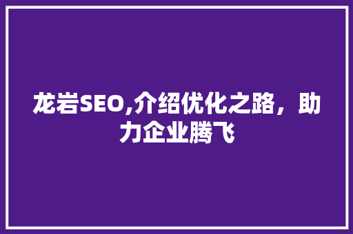 龙岩SEO,介绍优化之路，助力企业腾飞