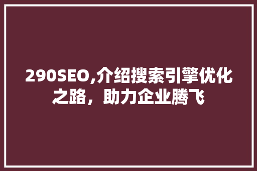 290SEO,介绍搜索引擎优化之路，助力企业腾飞