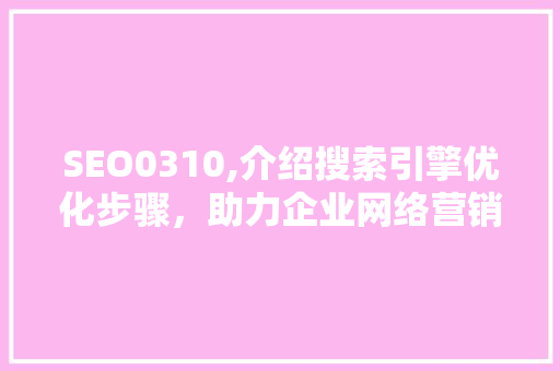 SEO0310,介绍搜索引擎优化步骤，助力企业网络营销