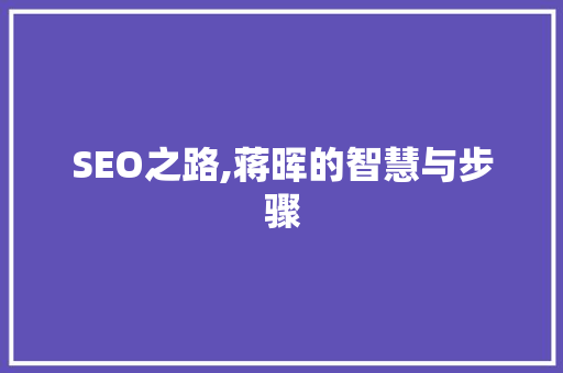 SEO之路,蒋晖的智慧与步骤