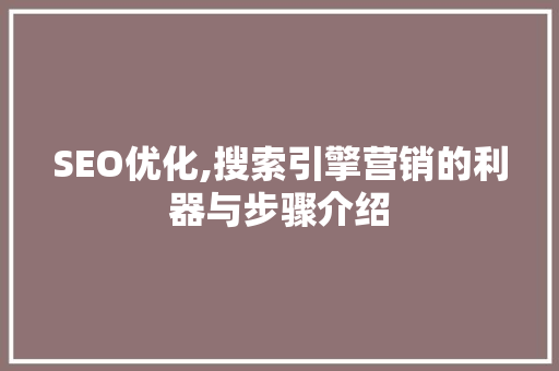 SEO优化,搜索引擎营销的利器与步骤介绍