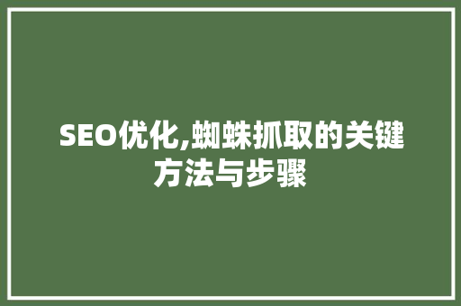 SEO优化,蜘蛛抓取的关键方法与步骤