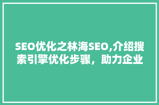 SEO优化之林海SEO,介绍搜索引擎优化步骤，助力企业网站腾飞