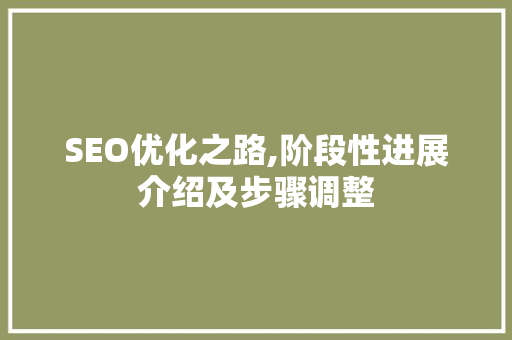 SEO优化之路,阶段性进展介绍及步骤调整