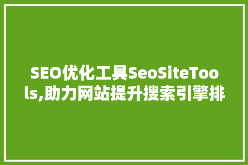 SEO优化工具SeoSiteTools,助力网站提升搜索引擎排名的秘密武器