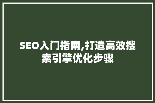 SEO入门指南,打造高效搜索引擎优化步骤