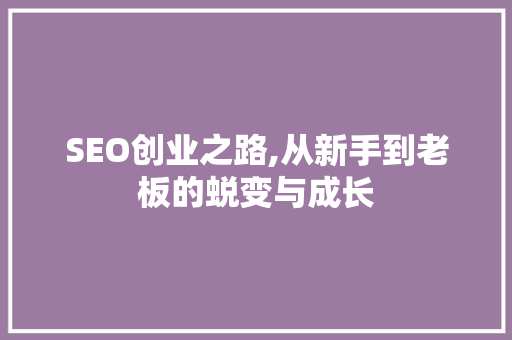 SEO创业之路,从新手到老板的蜕变与成长