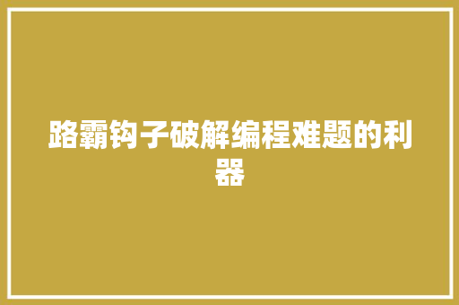 路霸钩子破解编程难题的利器