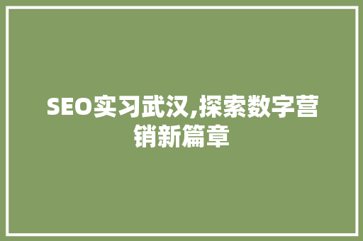 SEO实习武汉,探索数字营销新篇章