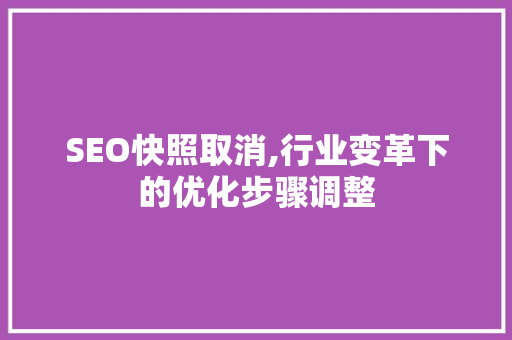 SEO快照取消,行业变革下的优化步骤调整