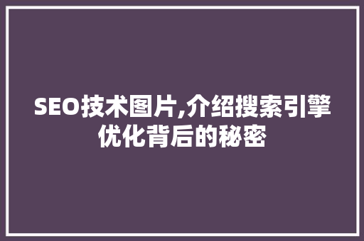SEO技术图片,介绍搜索引擎优化背后的秘密