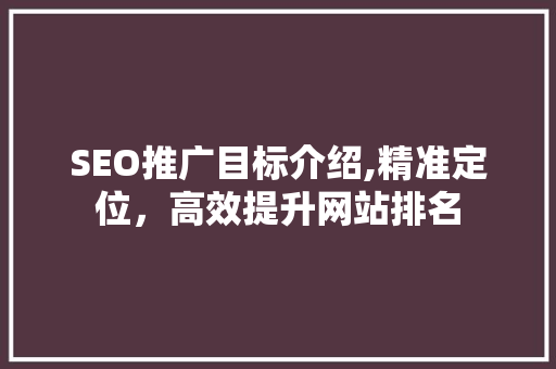 SEO推广目标介绍,精准定位，高效提升网站排名