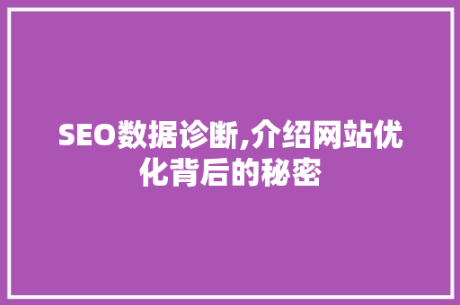 SEO数据诊断,介绍网站优化背后的秘密