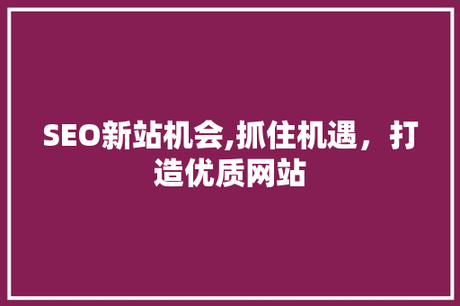 SEO新站机会,抓住机遇，打造优质网站