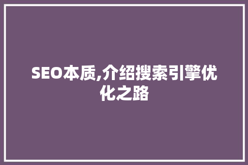 SEO本质,介绍搜索引擎优化之路