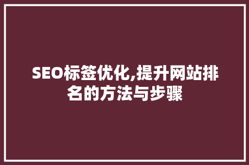 SEO标签优化,提升网站排名的方法与步骤