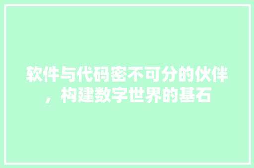 软件与代码密不可分的伙伴，构建数字世界的基石
