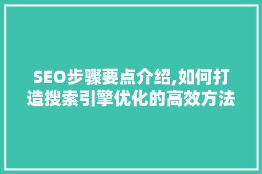 SEO步骤要点介绍,如何打造搜索引擎优化的高效方法