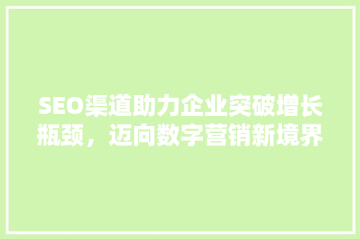 SEO渠道助力企业突破增长瓶颈，迈向数字营销新境界