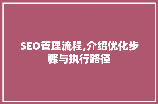 SEO管理流程,介绍优化步骤与执行路径