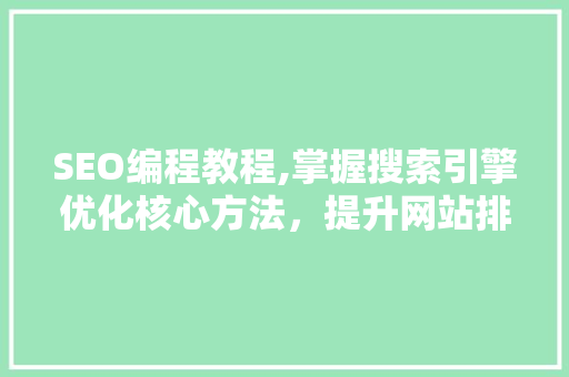 SEO编程教程,掌握搜索引擎优化核心方法，提升网站排名