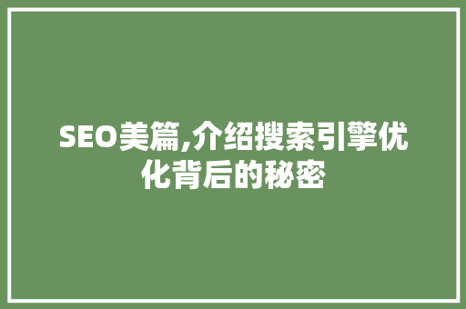 SEO美篇,介绍搜索引擎优化背后的秘密